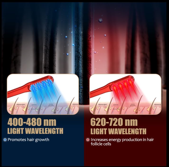 Laser-Haarwuchskamm, Rotlicht- – Hair Care Basic Bewertung und Preis
