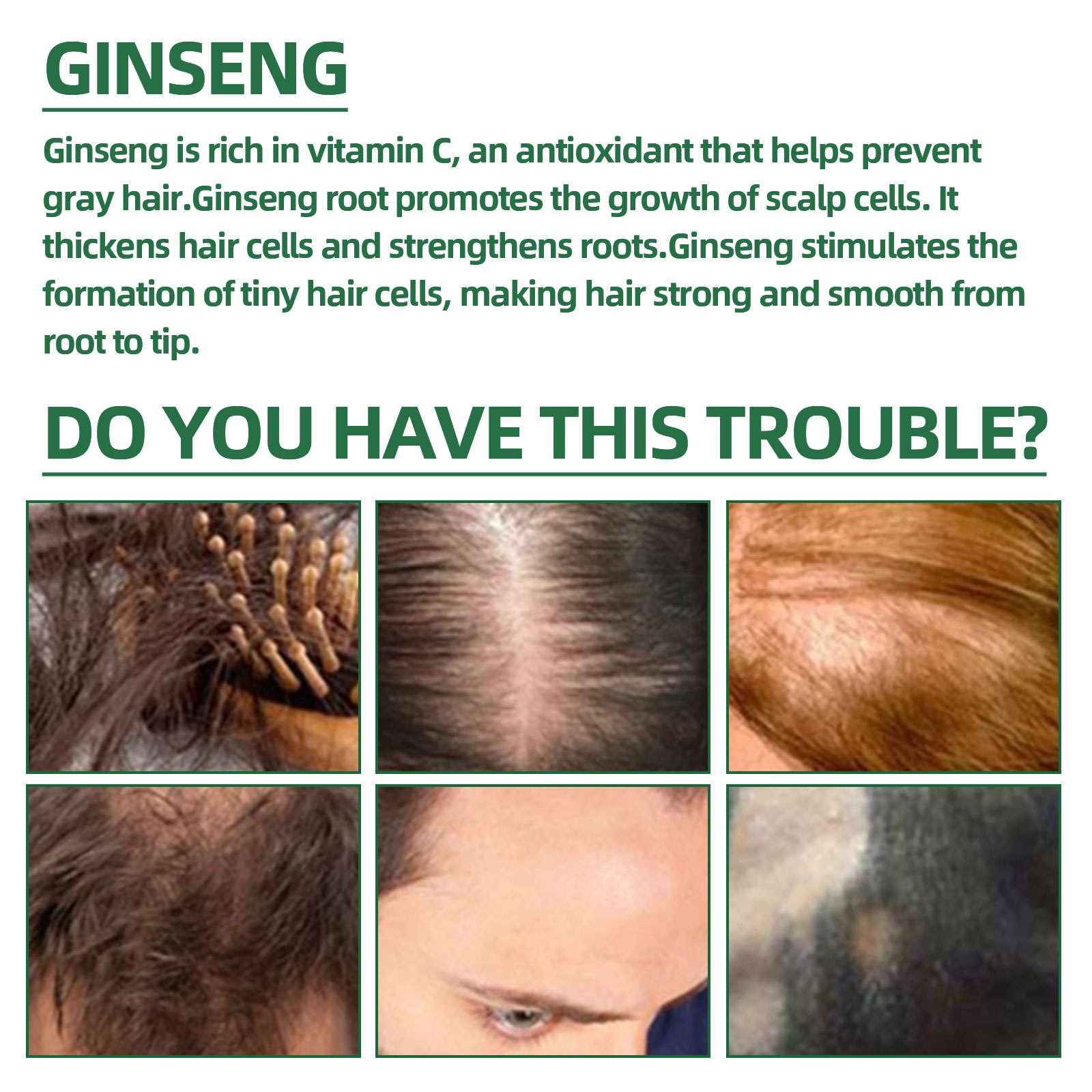 Natürliches pflanzliches Ginse – Hair Care Herbal Products Bewertung und Preis